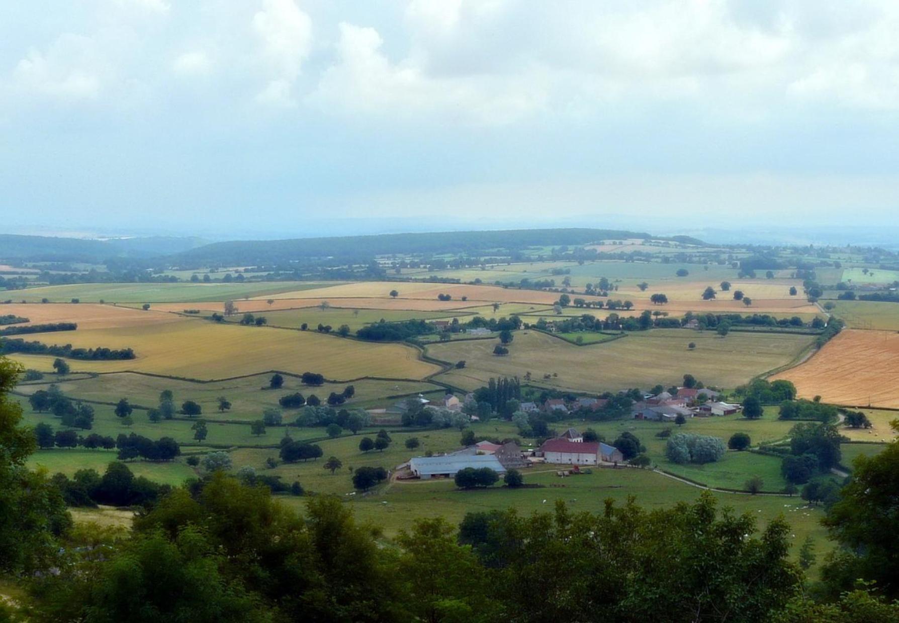 Chambres D'Hotes Les Frerots Lurcy-le-Bourg Kültér fotó